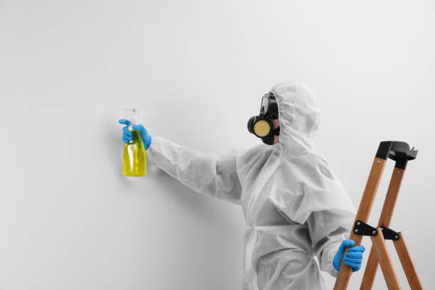 Best Commercial Mold Inspection  in Lake Mack Forest Hills, FL