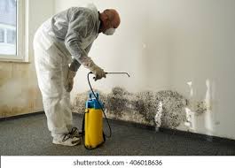 Best Environmental Consulting for Mold Prevention  in Lake Mack Forest Hills, FL